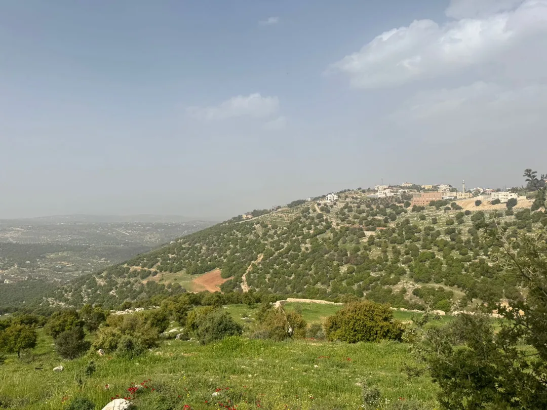 ارض بالزعتري السلط اطلاله رائعه