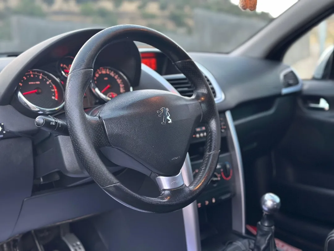 2009 Peugeot 207RC LE MANS