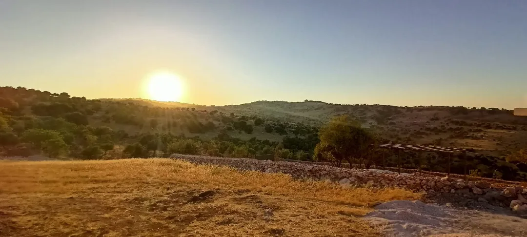 عجلون – سامتا – حوض خلايل أبو حصين - شرق جامعة عجلون الوطنية