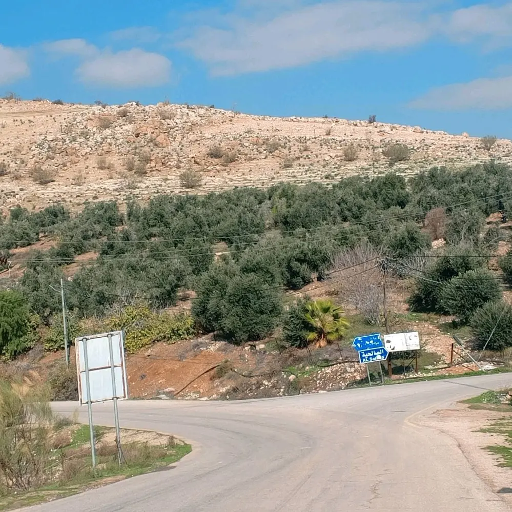 ارض للبيع في منطقه القنيه