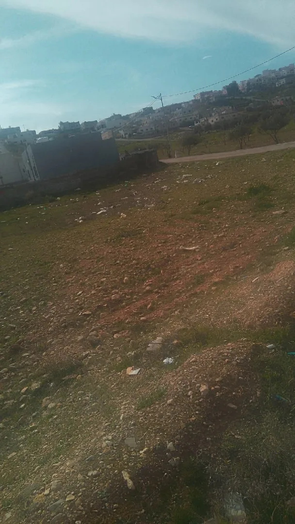 ارض للبيع