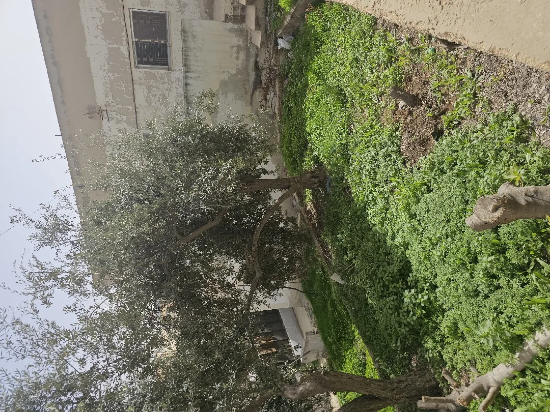 منول مستقل للبيع