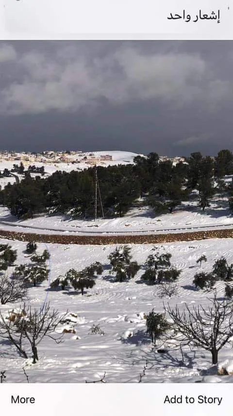 مزرعة مميزة مفروزة مخدومة على ٣ شوارع