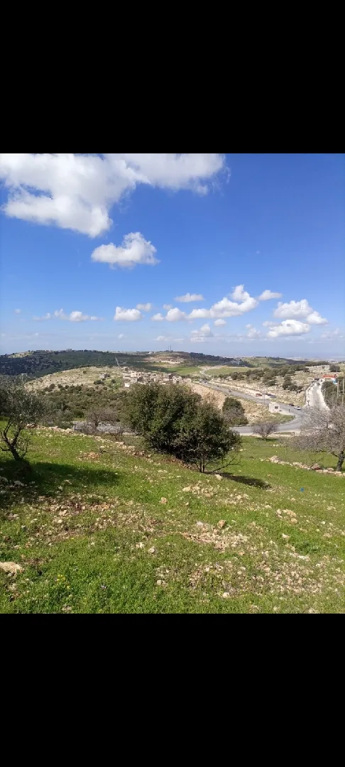 1900 متر للبيع في عجلون/الشارع العام