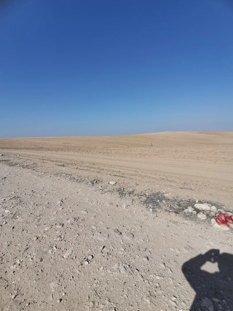 أرض زراعية تربة حمرا للبيع في ذيبان حوض رجيم سليم خمسة دونم وعشرون متر