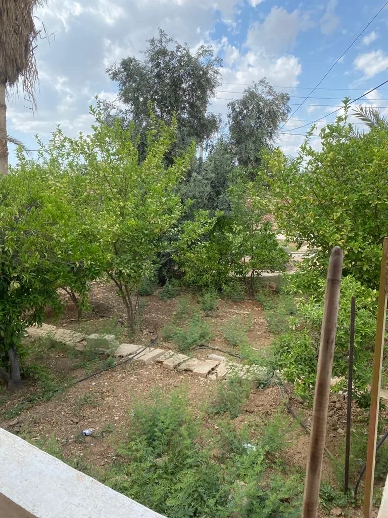 مزرعة مع بيت ريفي في الغور