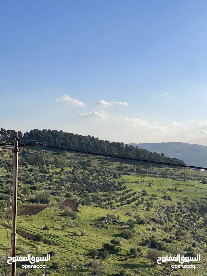 نمرة مميزة في أجمل جبال جرش تصلح لبناء شاليه منطقة شاليهات بجانب شاليهات الرويال