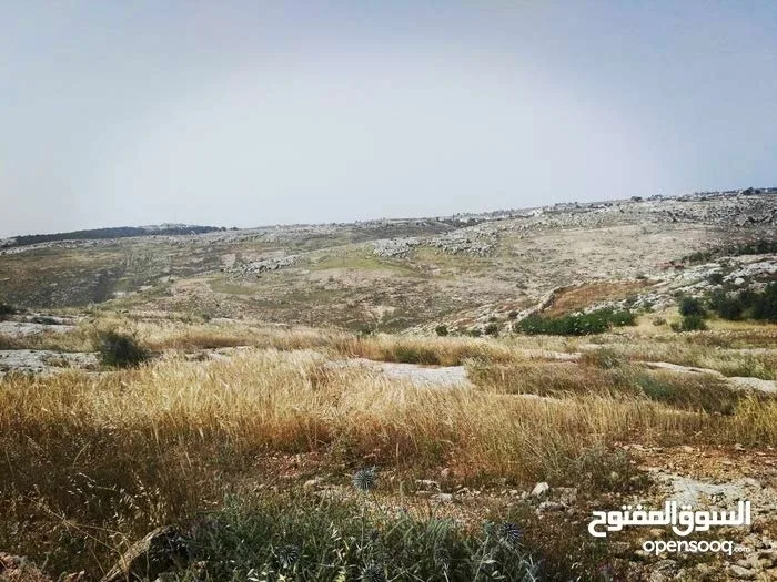 أرض زراعيّة تصلح لعمل مزرعة بأقل سعر في المنطقة