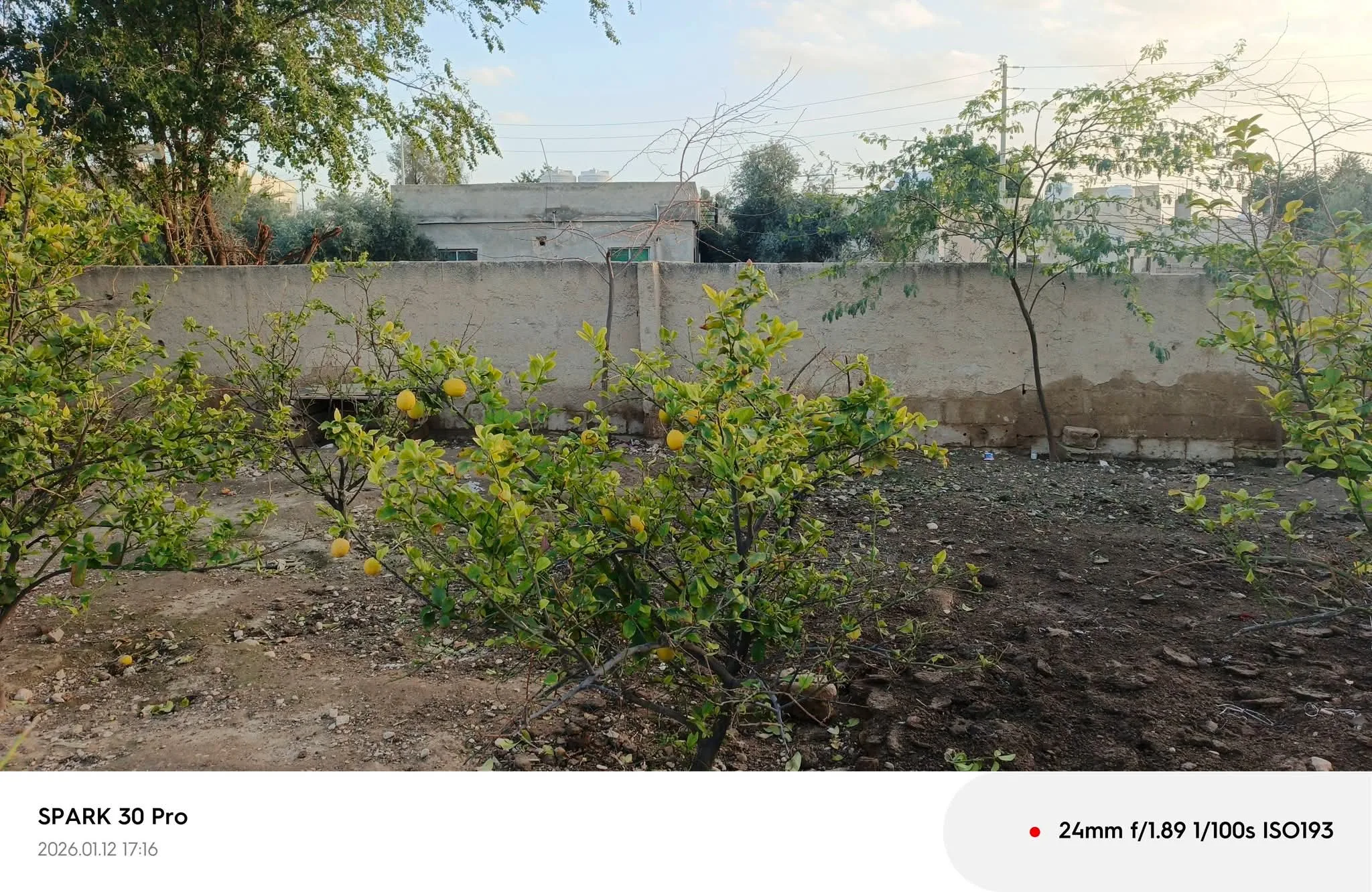 نمرتين قوشان مستقل