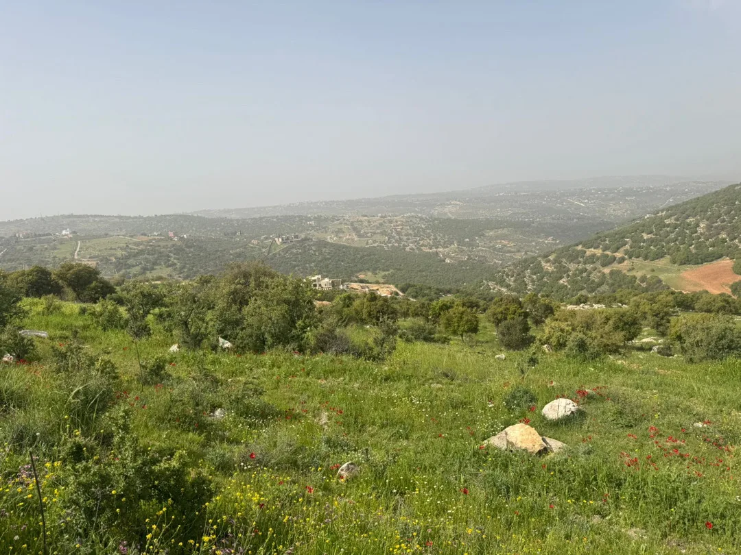 ارض بالزعتري السلط اطلاله رائعه