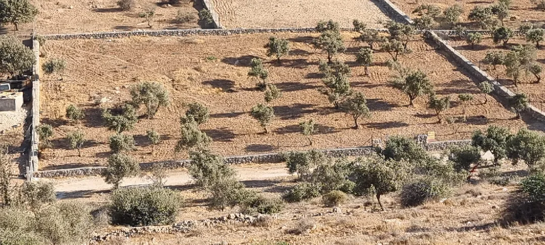 أرض للبيع 3500 متر بجانب شفا بدران عيون الذيب