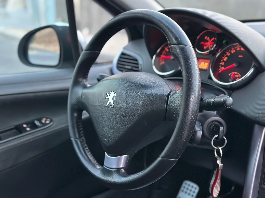 2009 Peugeot 207RC LE MANS