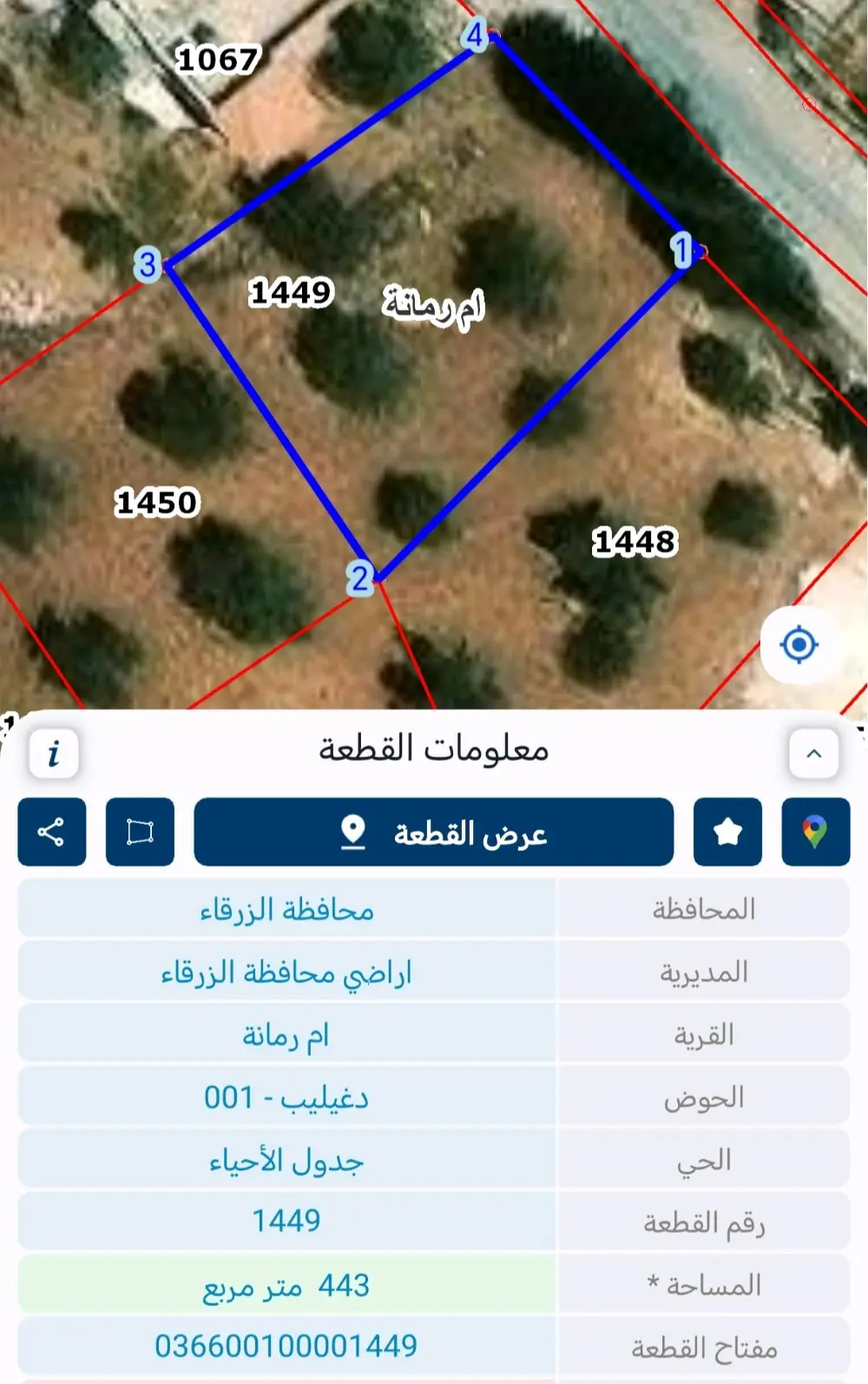 ارض للبيع في ام رمانة قريب شفا بدران