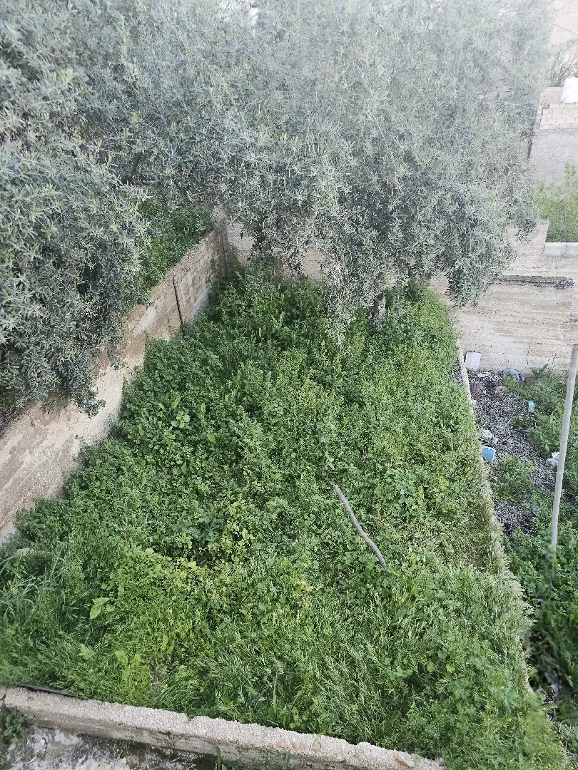 منول مستقل للبيع