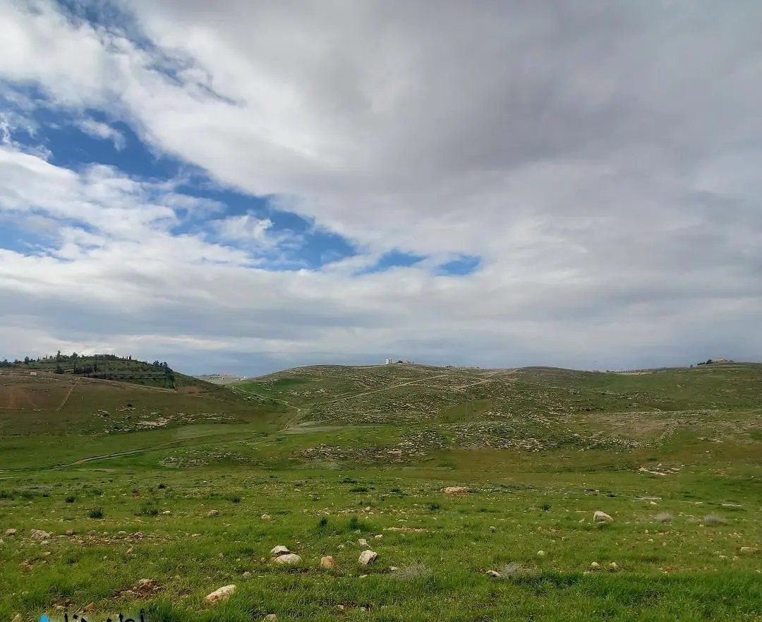 🌿 أرض مميزة للبيع – شفابدران / عمّان 🌿10 دونم و 294 متر – من المالك مباشرة📌