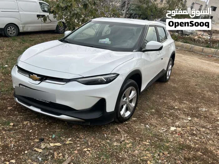 شفر مينلو 2023