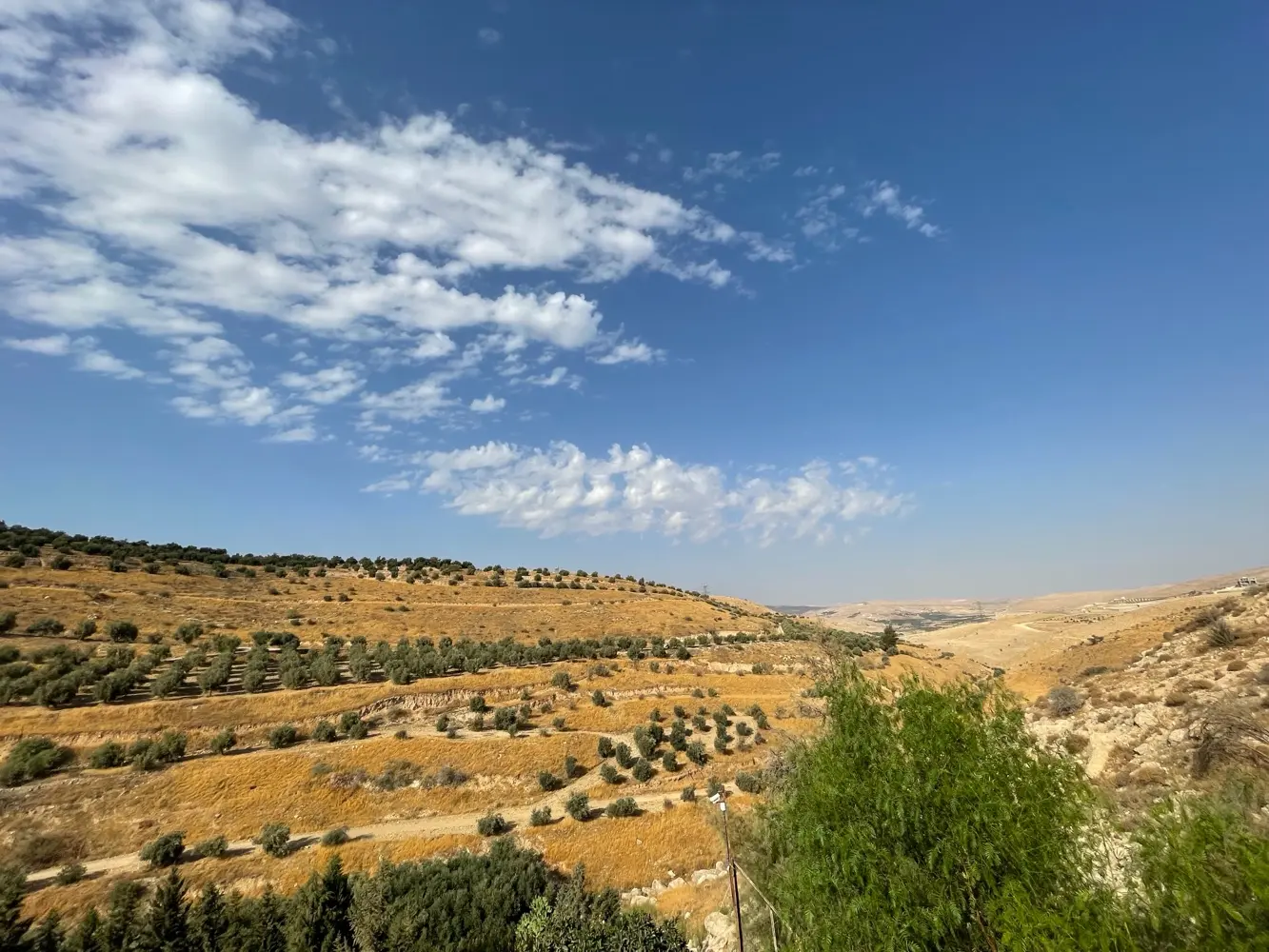 مزرعه مع فيلا ومسبح في العالوك للبيع