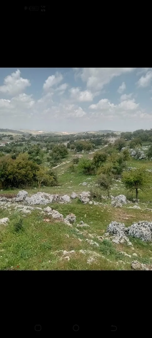 دونمين ارض للبيع في عجلون