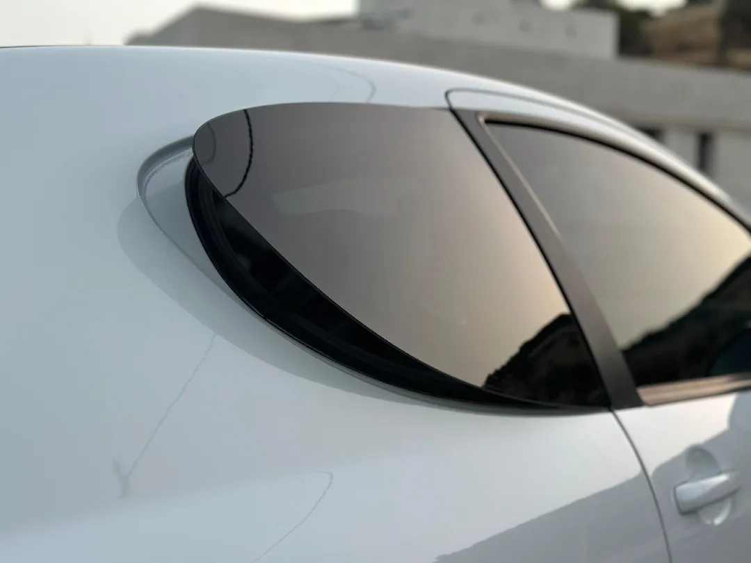 2009 Peugeot 207RC LE MANS