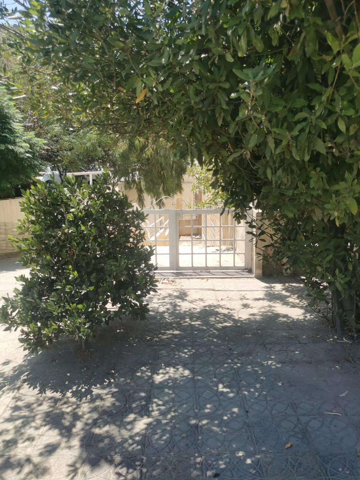 شقه فارغه للبيع