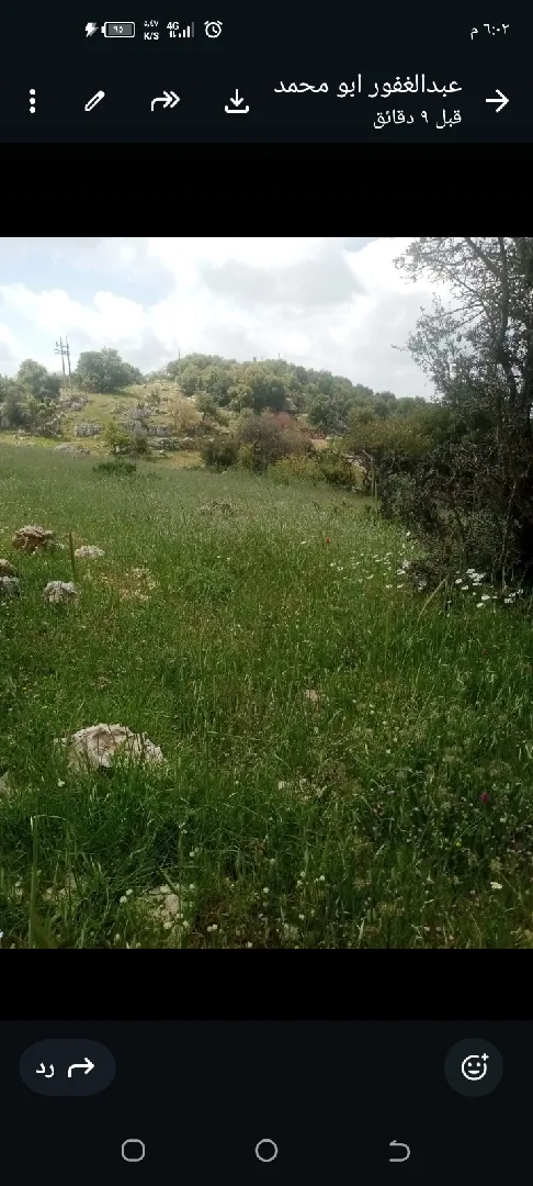 دونمين ارض للبيع في عجلون