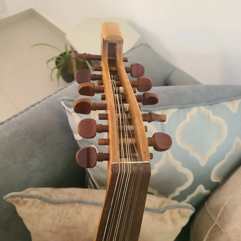 عود للبيع