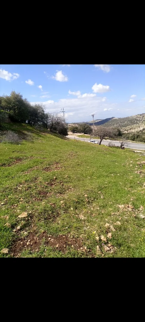 1900 متر للبيع في عجلون/الشارع العام