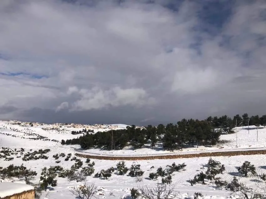 مزرعة مميزة مفروزة مخدومة على ٣ شوارع