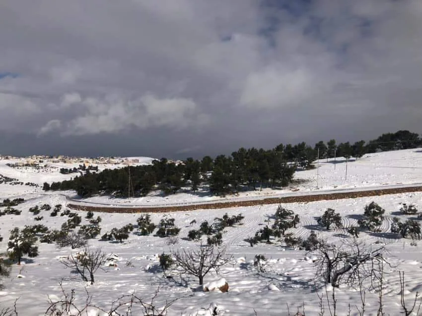 مزرعة مميزة مفروزة مخدومة على ٣ شوارع