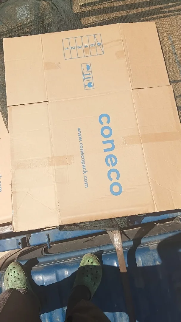 عبوات كرتونيه