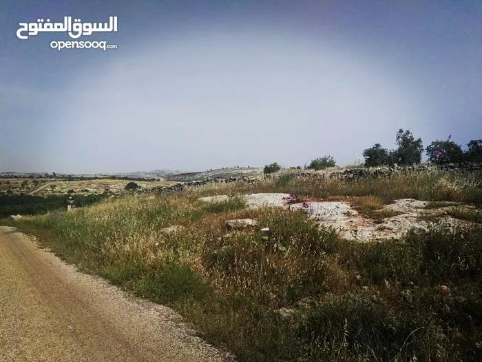 أرض زراعيّة تصلح لعمل مزرعة بأقل سعر في المنطقة