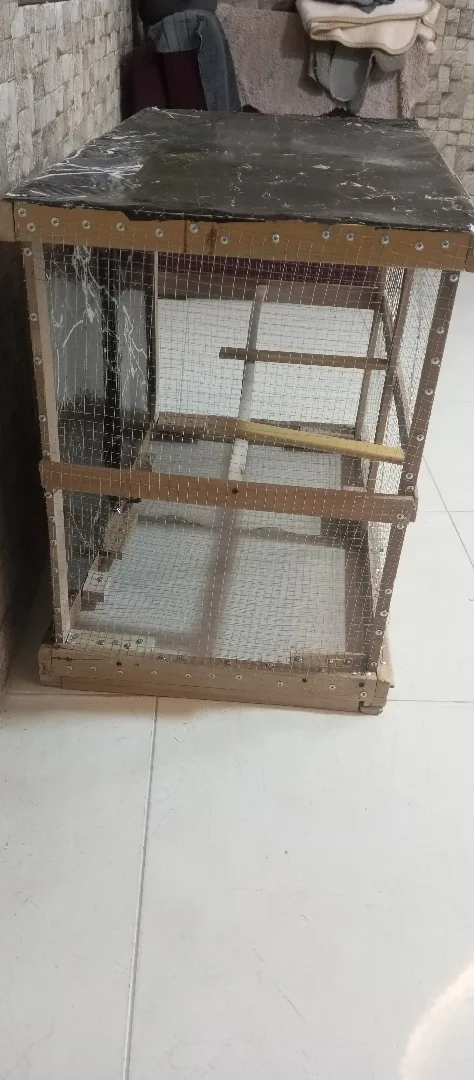 مطير تفصيل جديد