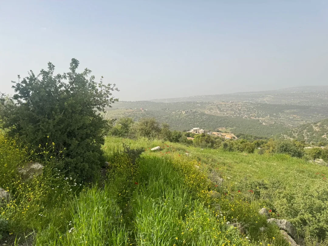 ارض بالزعتري السلط اطلاله رائعه