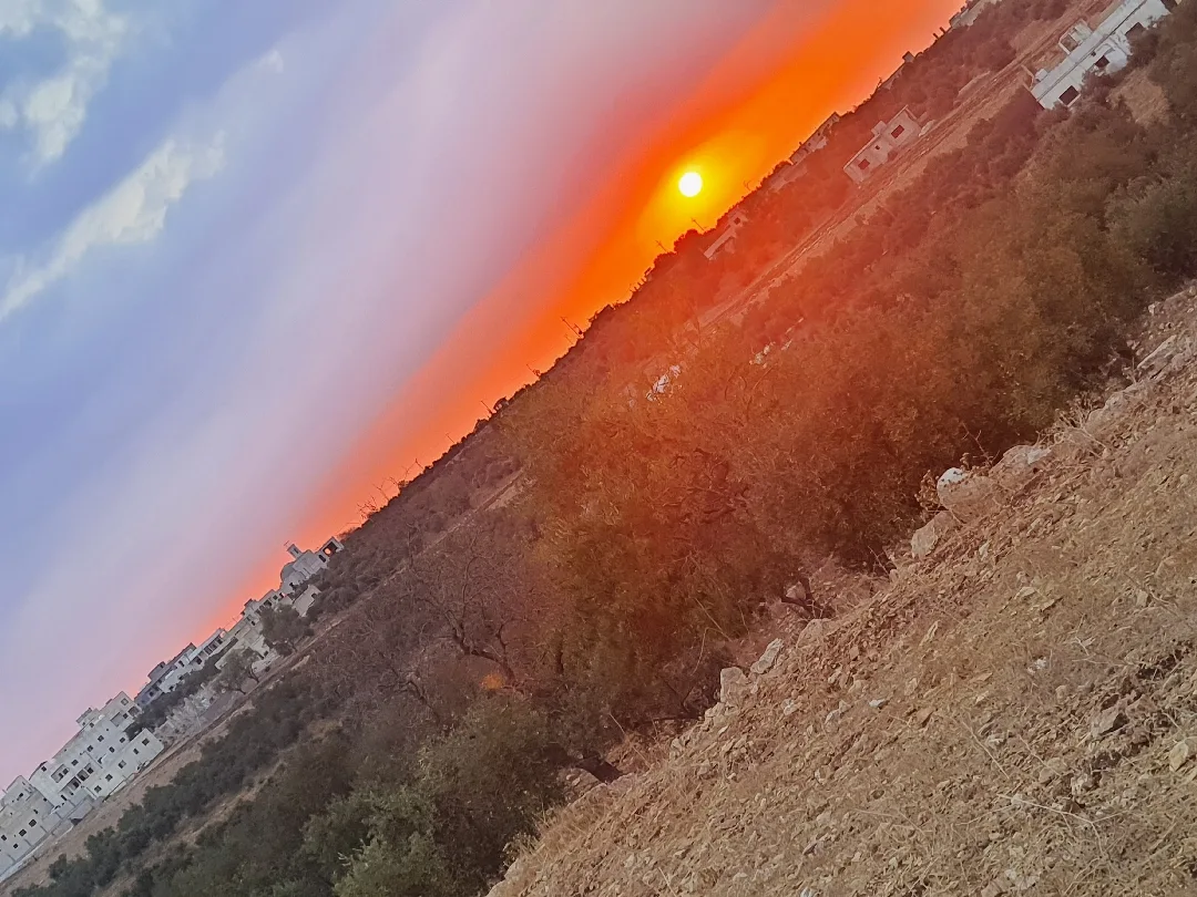 ارض للبيع مشترك