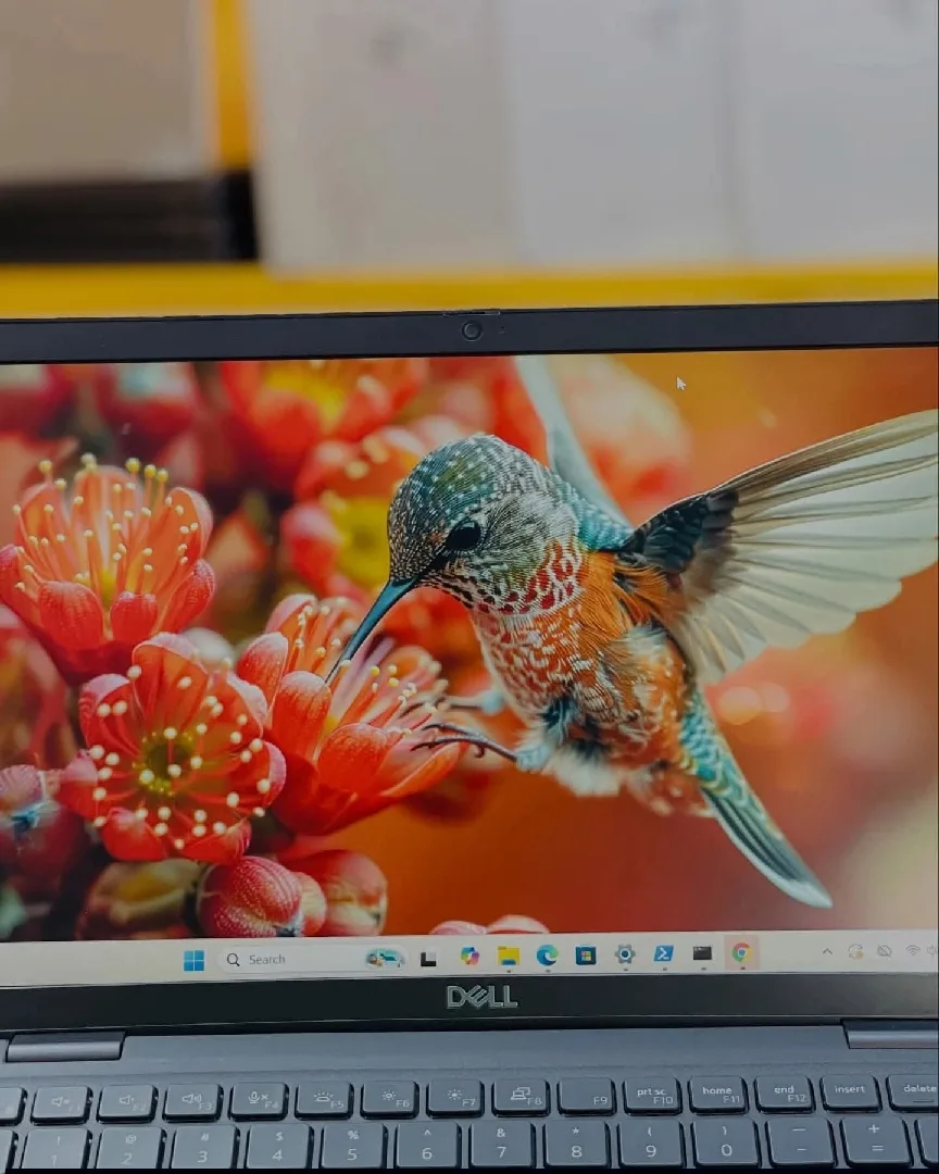 لابتوب ديل Laptop Dell