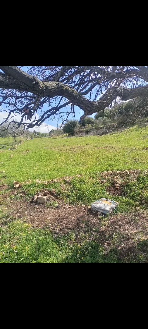 1900 متر للبيع في عجلون/الشارع العام