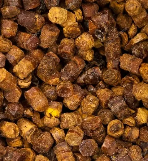 خبز النحل العضوي