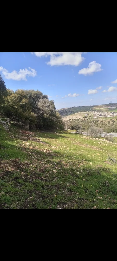 1900 متر للبيع في عجلون/الشارع العام