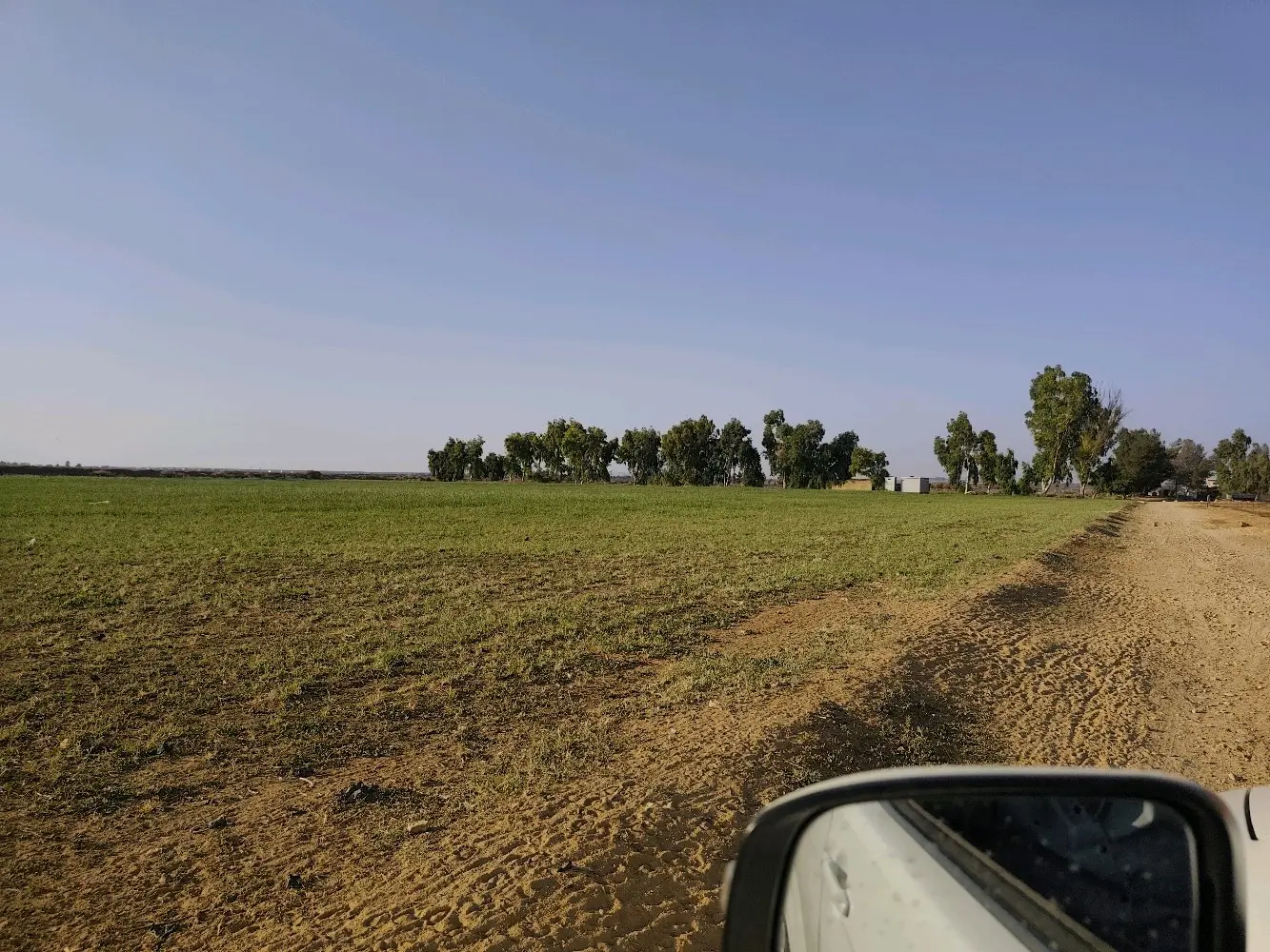 مزرعة استثمارية للبيع