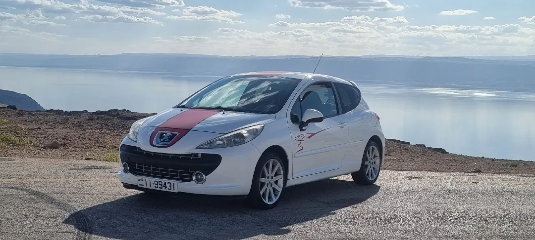 2009 Peugeot 207RC LE MANS