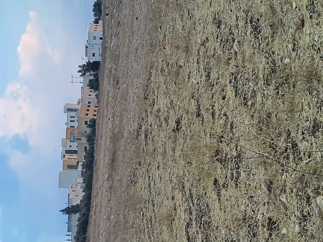 ارض للبيع مشترك