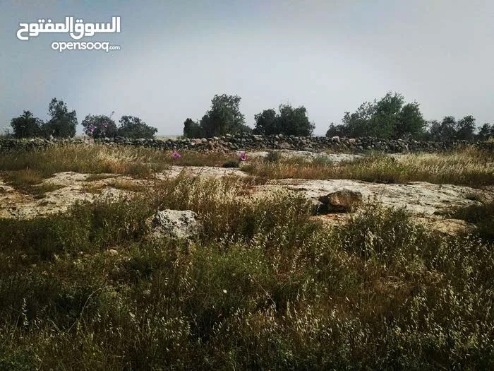 أرض زراعيّة تصلح لعمل مزرعة بأقل سعر في المنطقة