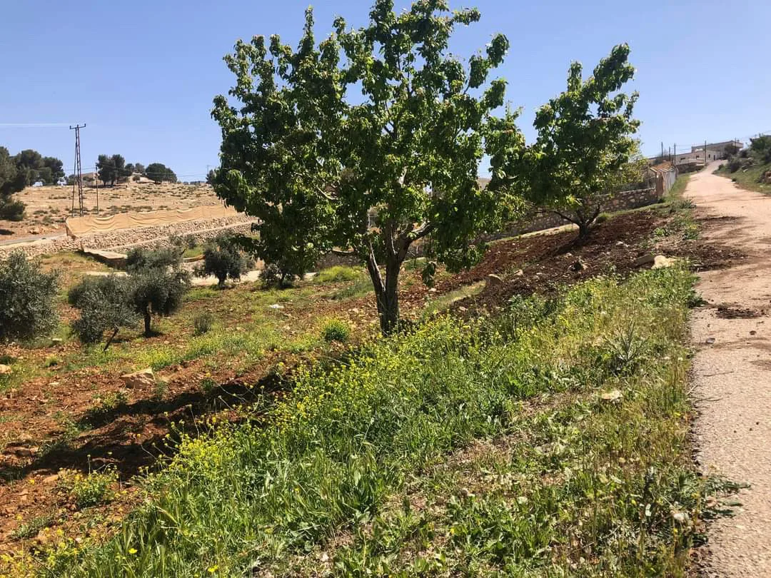 مزرعة مميزة مفروزة مخدومة على ٣ شوارع