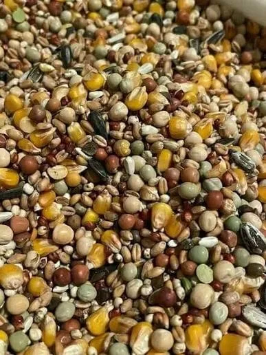 طعام وعلاج حيونات اليفه ❤