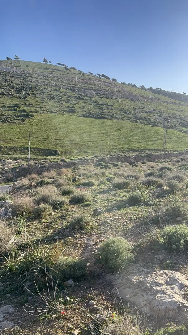 قطعة أرض للبيع في بيرين - مرحب