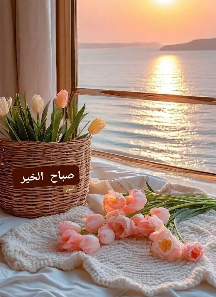 شقه للايجار في الزرقاء الوسط التجاري