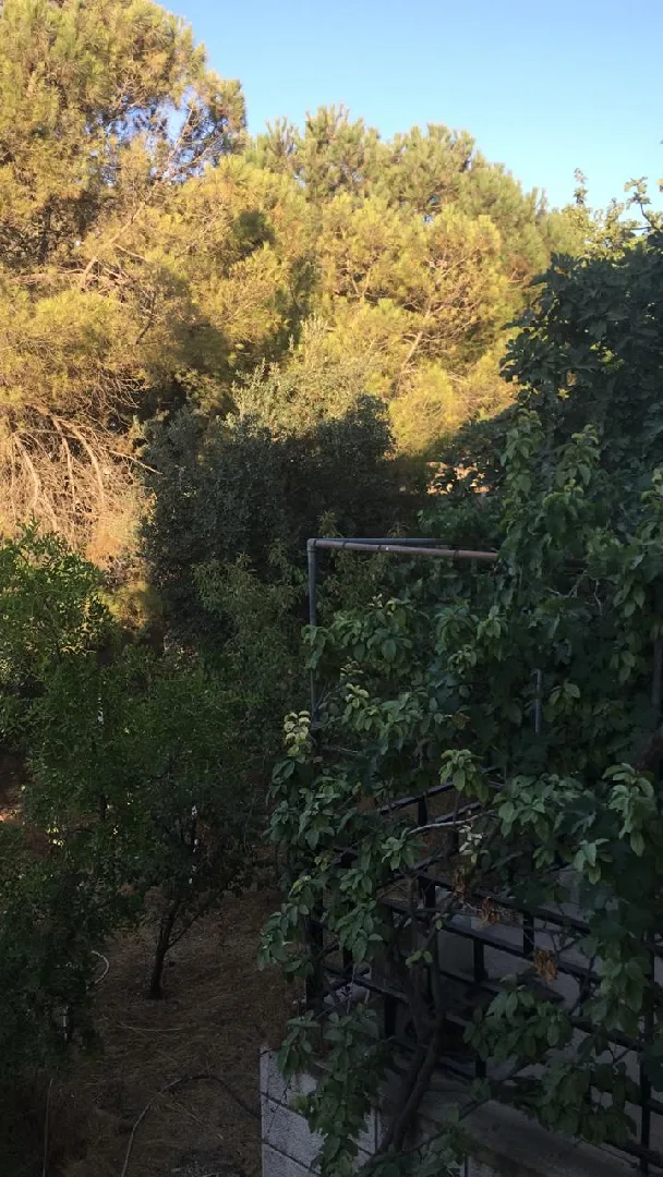 بيت مستقل في صويلح حي الإرسال