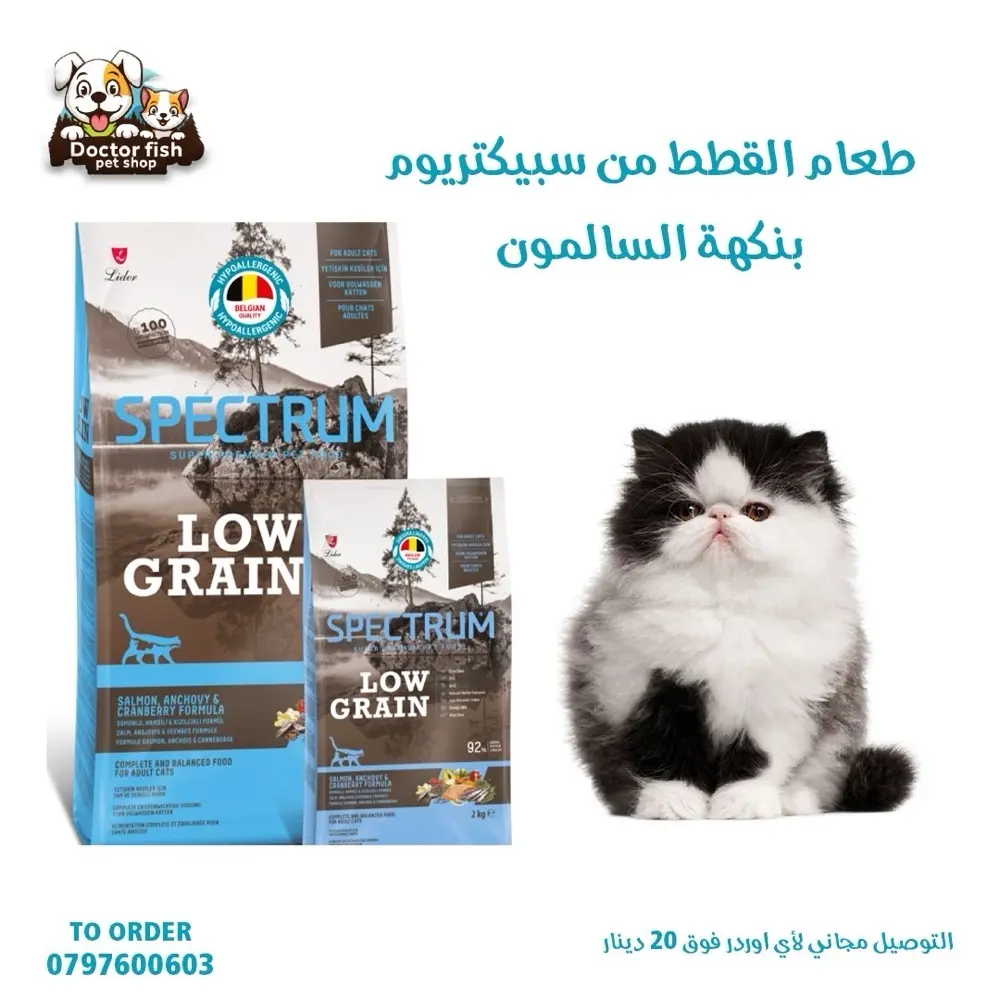 اكل قطط