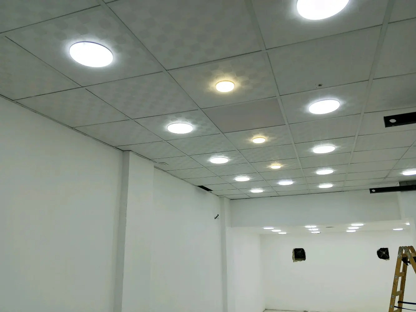 محلين للايجار