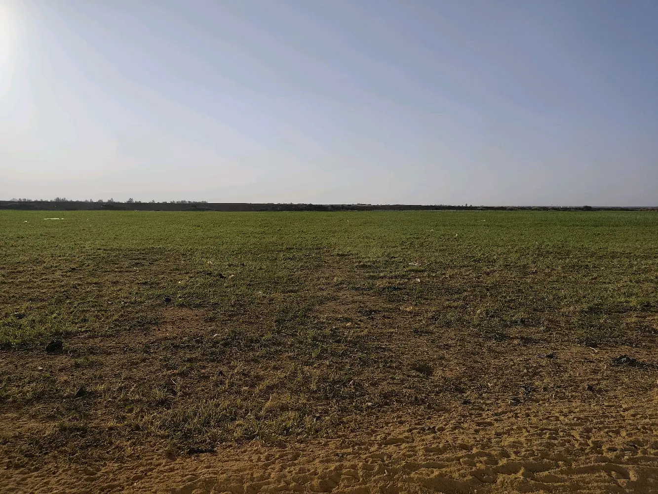 مزرعة استثمارية للبيع